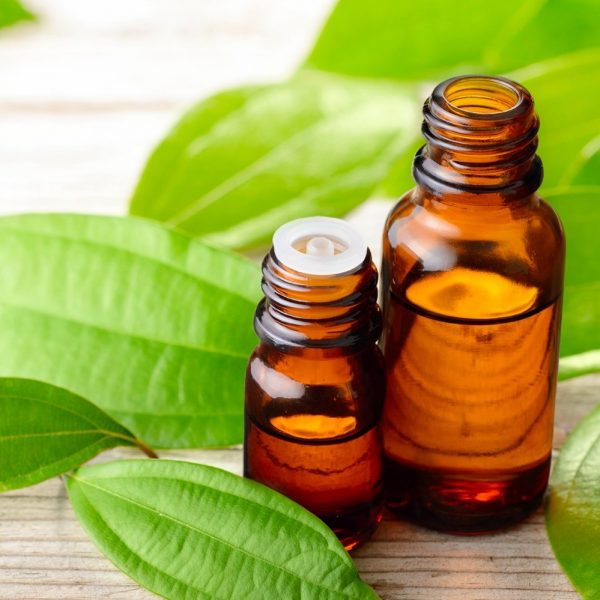 Ceylon Cinnamon Leaf Essential Oil Ceylon Brands