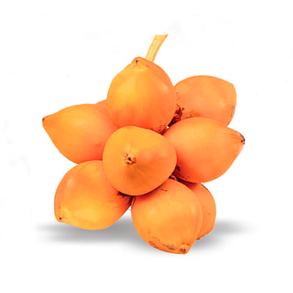 Virgin King Coconut Carrier Oil Ceylon Brands