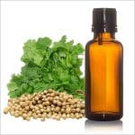 Coriander Essential Oil -15ml - for Culinary and Herbal Treatments - Image 3