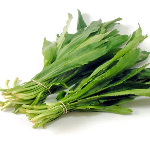 Ceylon Dried Culantro Leaves (Long Coriander) – 10 Pack | Herbal Cooking and Tea