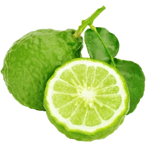 Bergamot Essential Oil