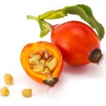 Rosehip Oil 30ml – Carrier Oil | Pure & Natural Rosehip Oil in Sri Lanka for Face, Hair & Skin - Image 4