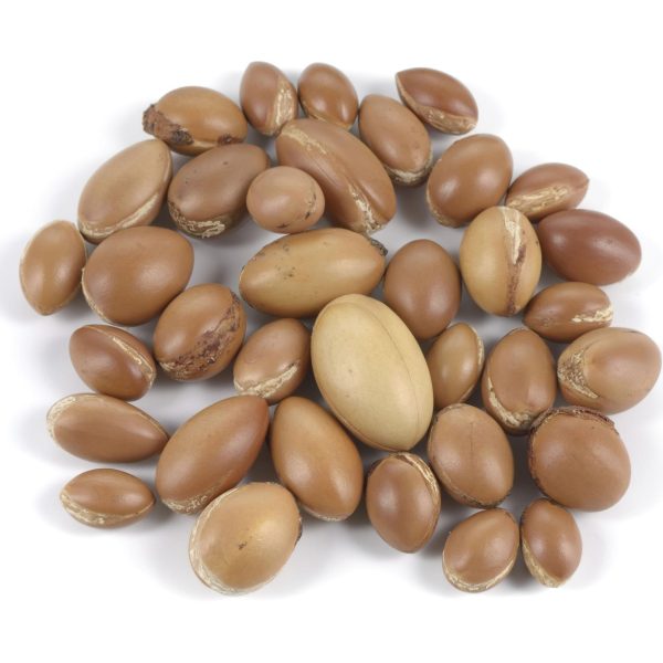 Argan Oil